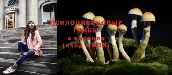 дживик Балабаново