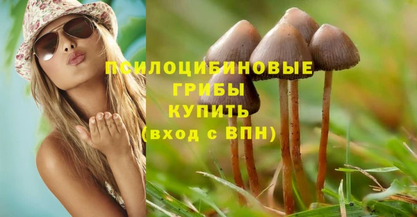 дживик Балабаново
